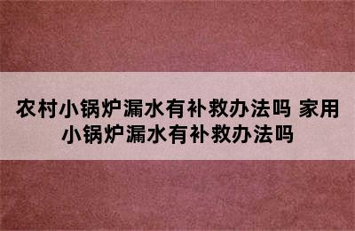 农村小锅炉漏水有补救办法吗 家用小锅炉漏水有补救办法吗